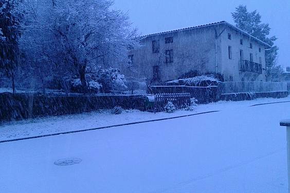 Elurra iritsi da 2 1422959148502