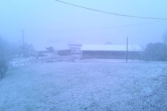 Elurra iritsi da 3 1422959148961