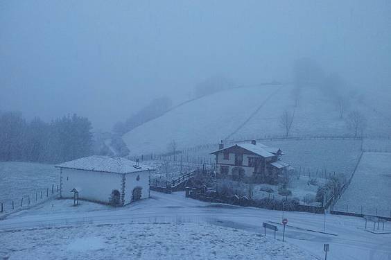 Elurra iritsi da 4 1422959149365