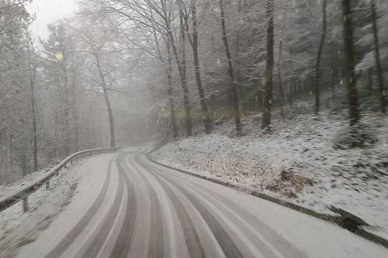 Elurra iritsi da 5 1422959149757