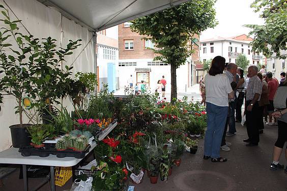 Asteasuko azoka 21 1412006678621