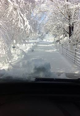 Elurra iritsi da 6 1422959150167