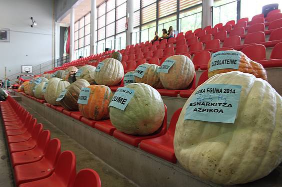 Asteasuko azoka 22 1412006679083