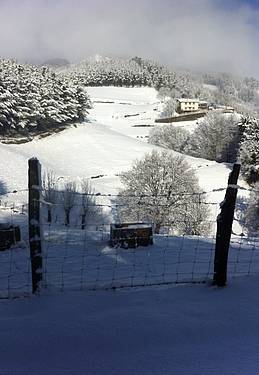 Elurra iritsi da 7 1422959150430