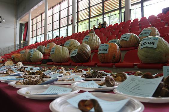 Asteasuko azoka 23 1412006679581