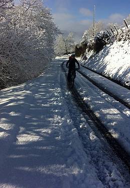 Elurra iritsi da 8 1422959150802