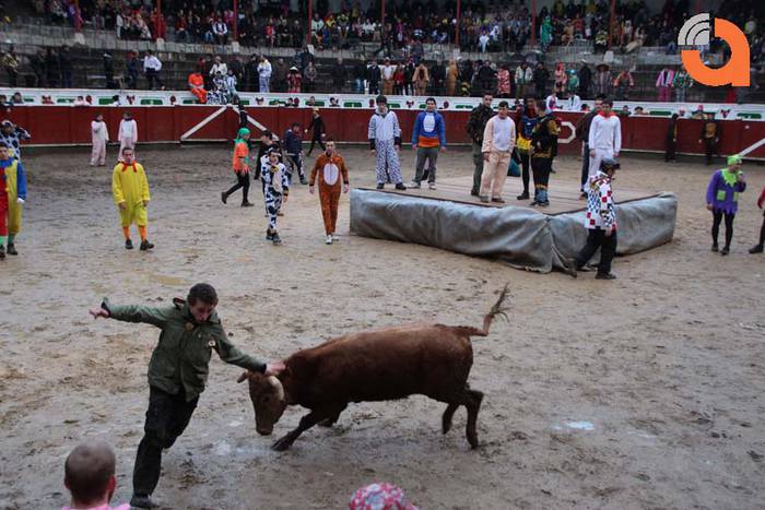 Pattar zezena 2015 1 1424193219525