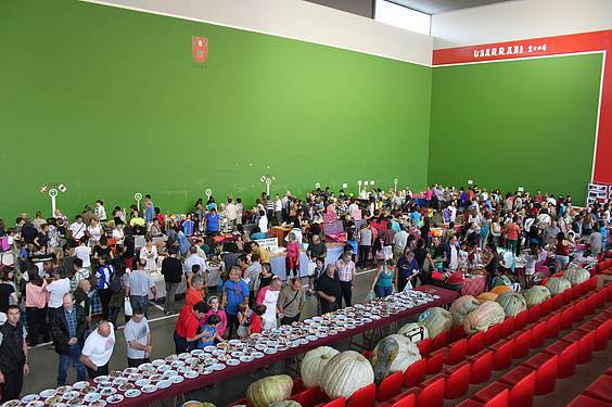 Asteasuko azoka 24 1412006680089