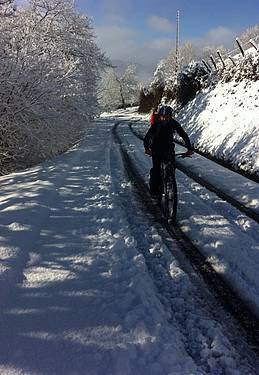 Elurra iritsi da 9 1422959151283