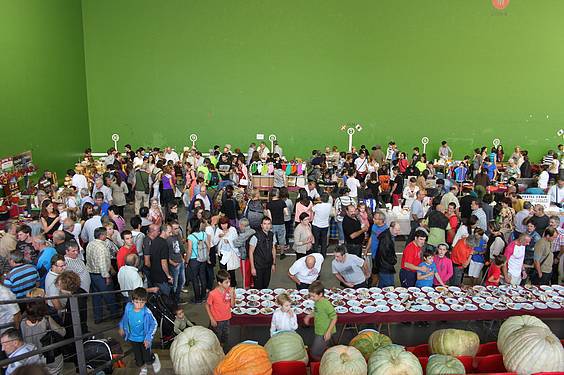 Asteasuko azoka 25 1412006680536