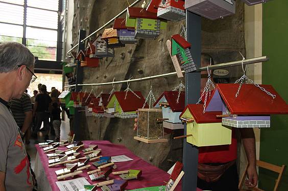 Asteasuko azoka 31 1412006683947