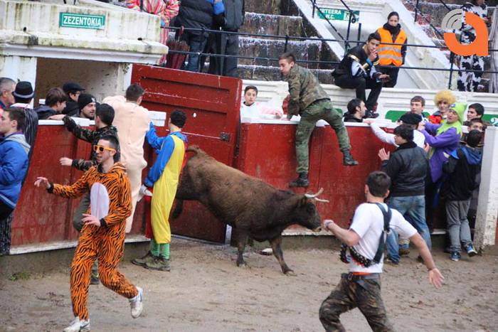 Pattar zezena 2015 6 1424193226834