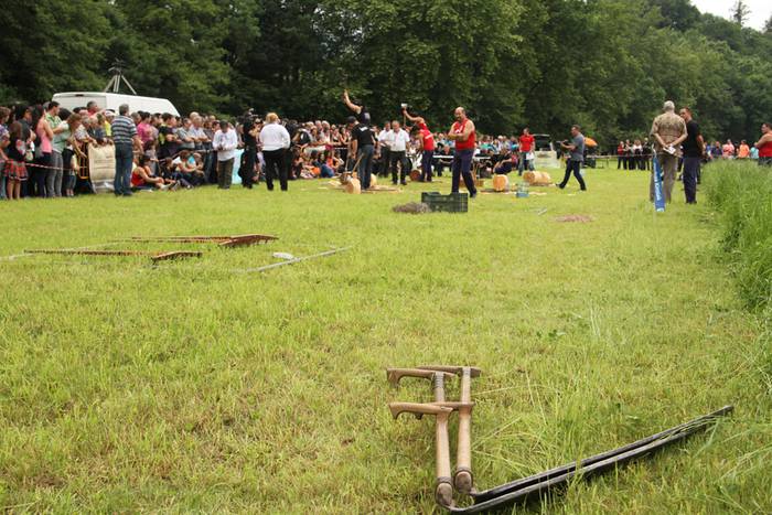 Alatzne Etxaburua astondoa apustua 2015 11 1433775299986