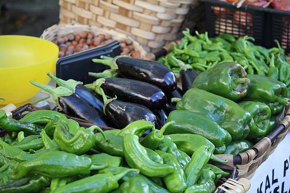 Loidi baserriak irabazi du Baserriko Argia 5 1413201883704