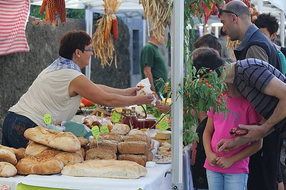 Loidi baserriak irabazi du Baserriko Argia 8 1413201886762