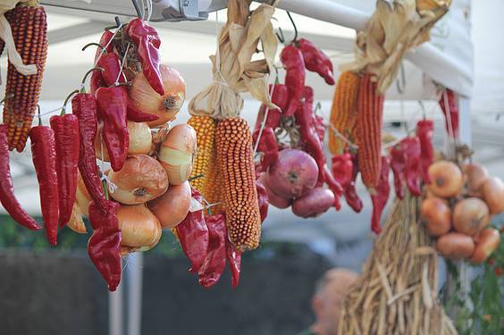 Loidi baserriak irabazi du Baserriko Argia 9 1413201887909