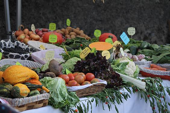 Loidi baserriak irabazi du Baserriko Argia 10 1413201889082