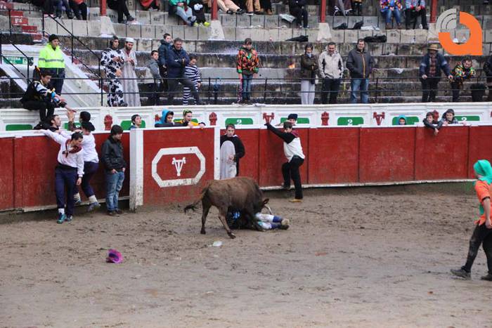 Pattar zezena 2015 9 1424193230278