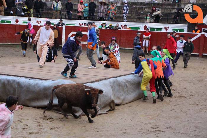 Pattar zezena 2015 10 1424193231267