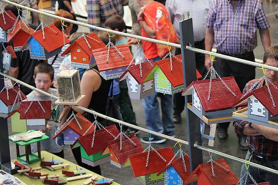 AZOKA BEREZIA 2 1 1413201958335