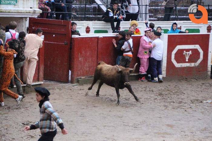 Pattar zezena 2015 11 1424193232291