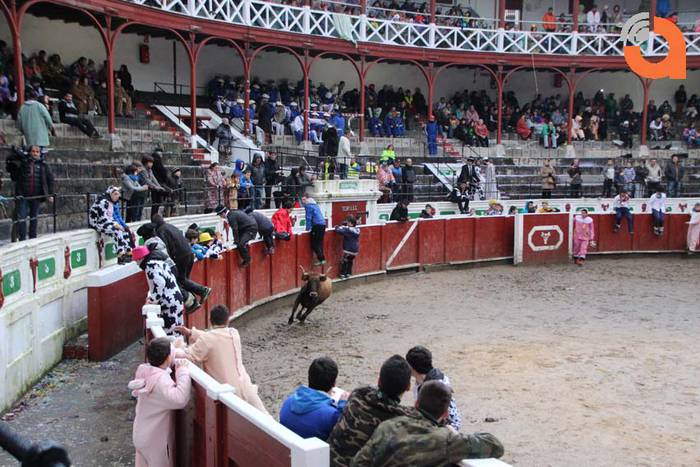 Pattar zezena 2015 12 1424193233373