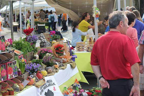 AZOKA BEREZIA 2 14 1413201969268