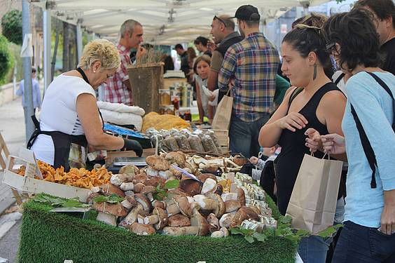 AZOKA BEREZIA 2 16 1413201970876