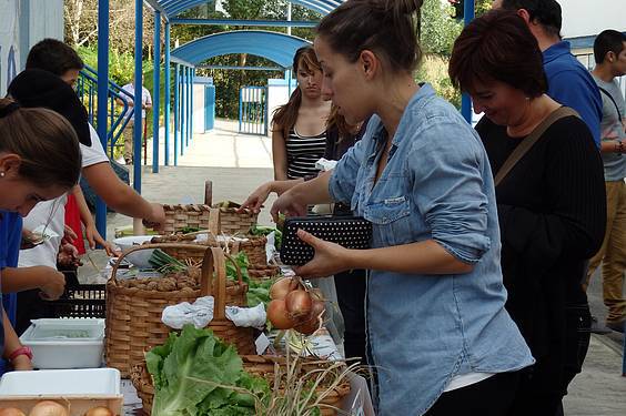 azoka ekologikoa samaniegon 7 1415029979842