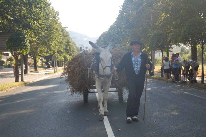 europako sega txapelketa 2015 14 1441034719680