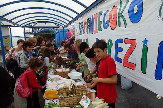 azoka ekologikoa samaniegon 8 1415029980480