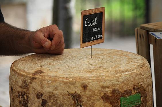 AZOKA BEREZIA 2 17 1413201971613