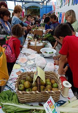 azoka ekologikoa samaniegon 9 1415029981237