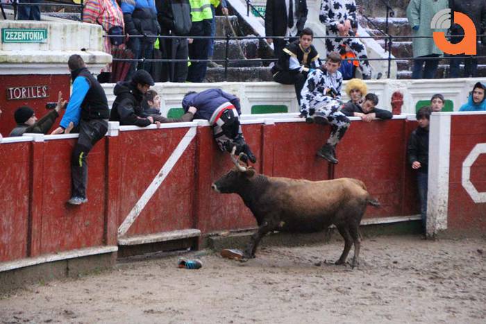 Pattar zezena 2015 13 1424193234509