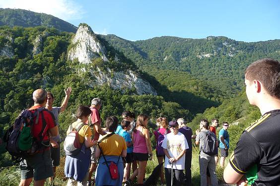 Alkizatik Herniora 12 1411401799246