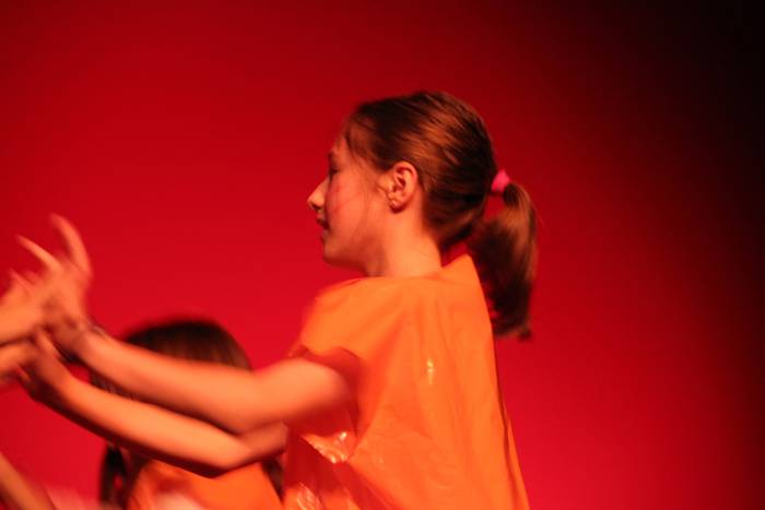 gerrena plat udaberri 2015 29 1433181706972