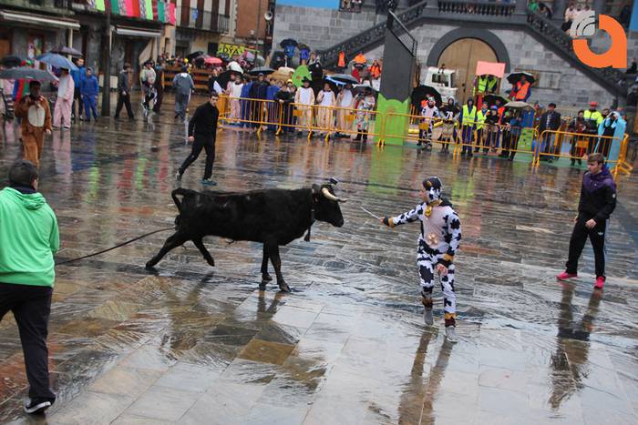 Sokamuturra 2015 4 1424102314099