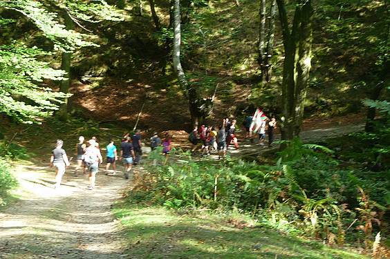 Alkizatik Herniora 14 1411401800642