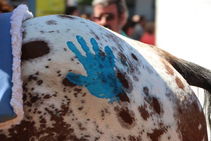 Gure Esku Dago 2015 Donostia 17 1434971480912