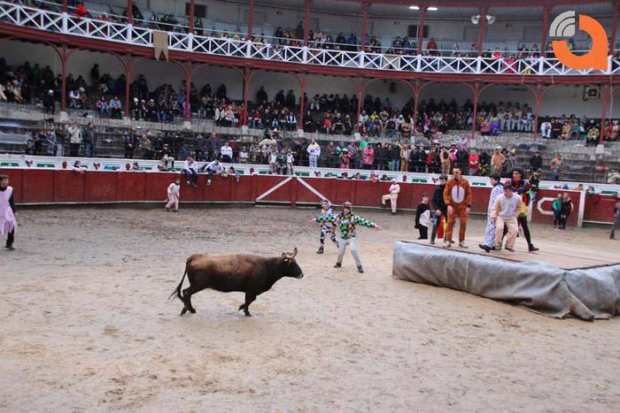 Pattar zezena 2015 14 1424193235879