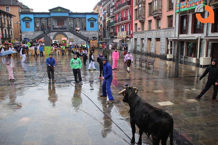 Sokamuturra 2015 6 1424102317256