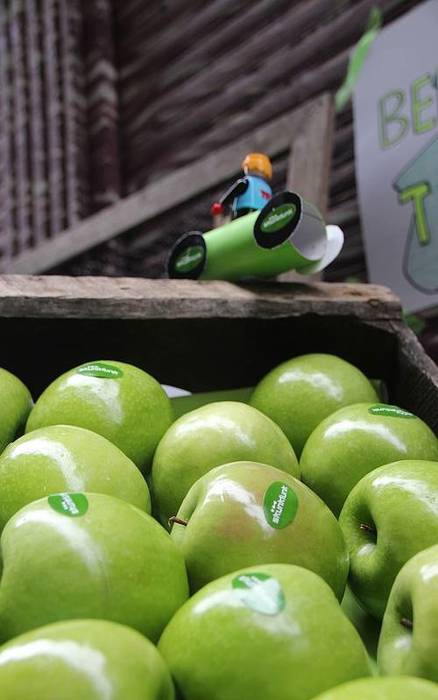 Artekale 3 1431776024881