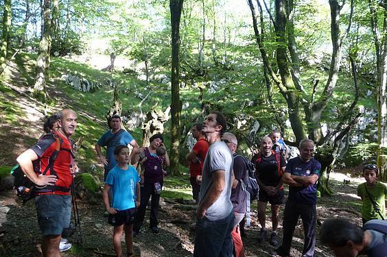 Alkizatik Herniora 15 1411401801111