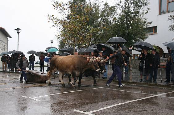 Amasa San Martin 1 1384185827840