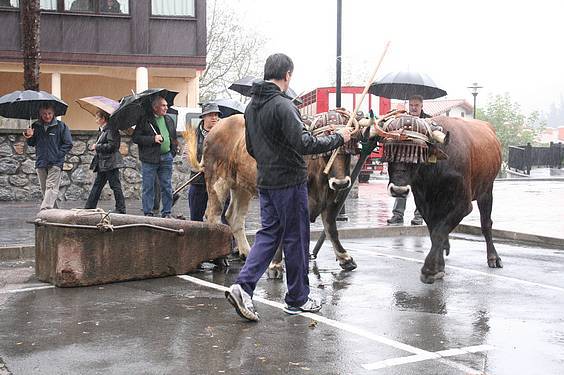 Amasa San Martin 2 1384185828996