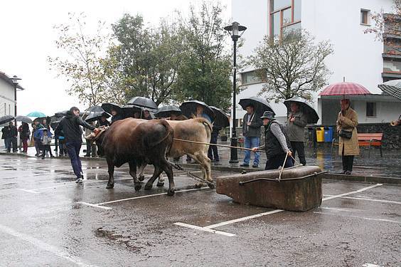 Amasa San Martin 3 1384185829614