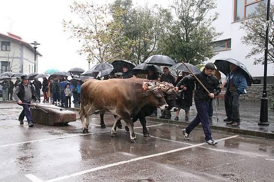 Amasa San Martin 4 1384185830063