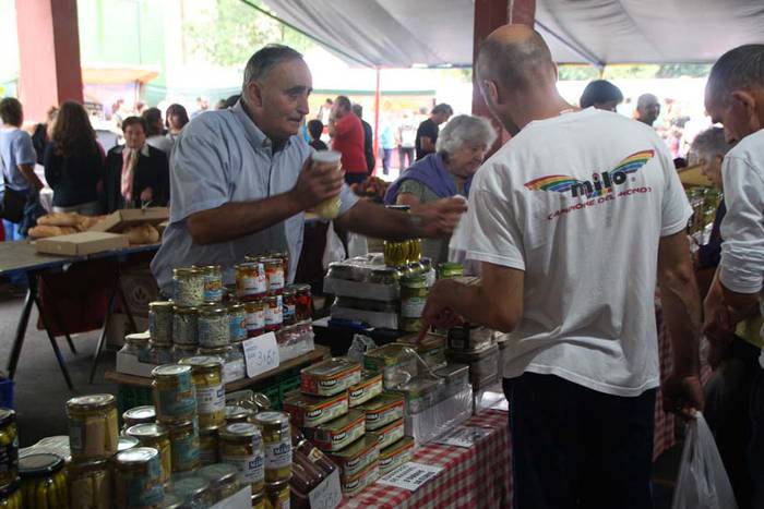 Azoka berezia Villabona 2015 44 1442062868723