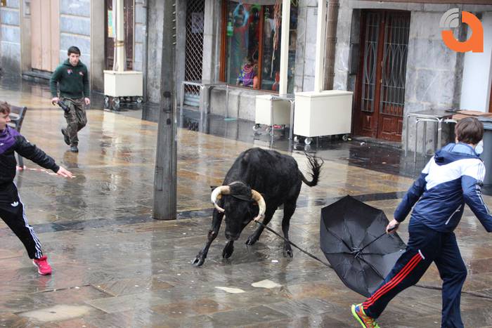 Sokamuturra 2015 10 1424102321995