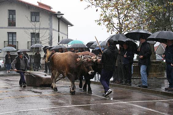 Amasa San Martin 5 1384185830514